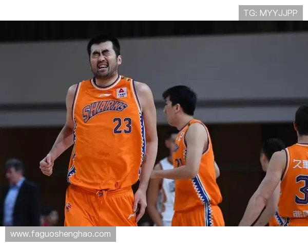 上海篮球队的全面转型与创新发展之路探讨