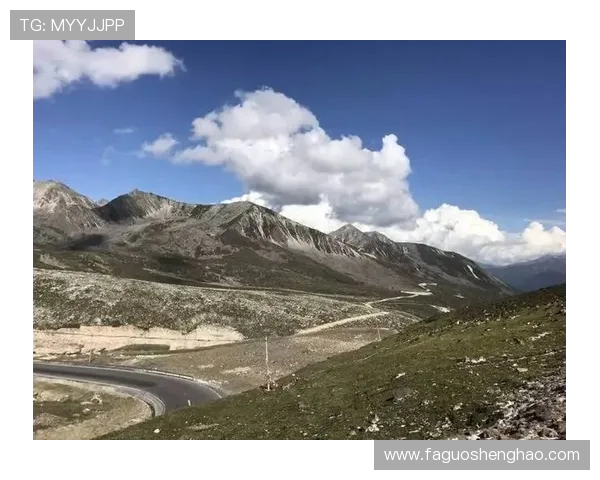 张磊排球生涯回顾与展望追寻梦想的足迹与坚持的力量